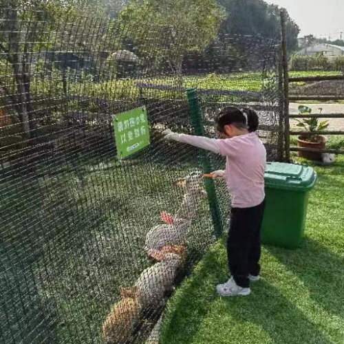 上海永续农场-小兔子加餐